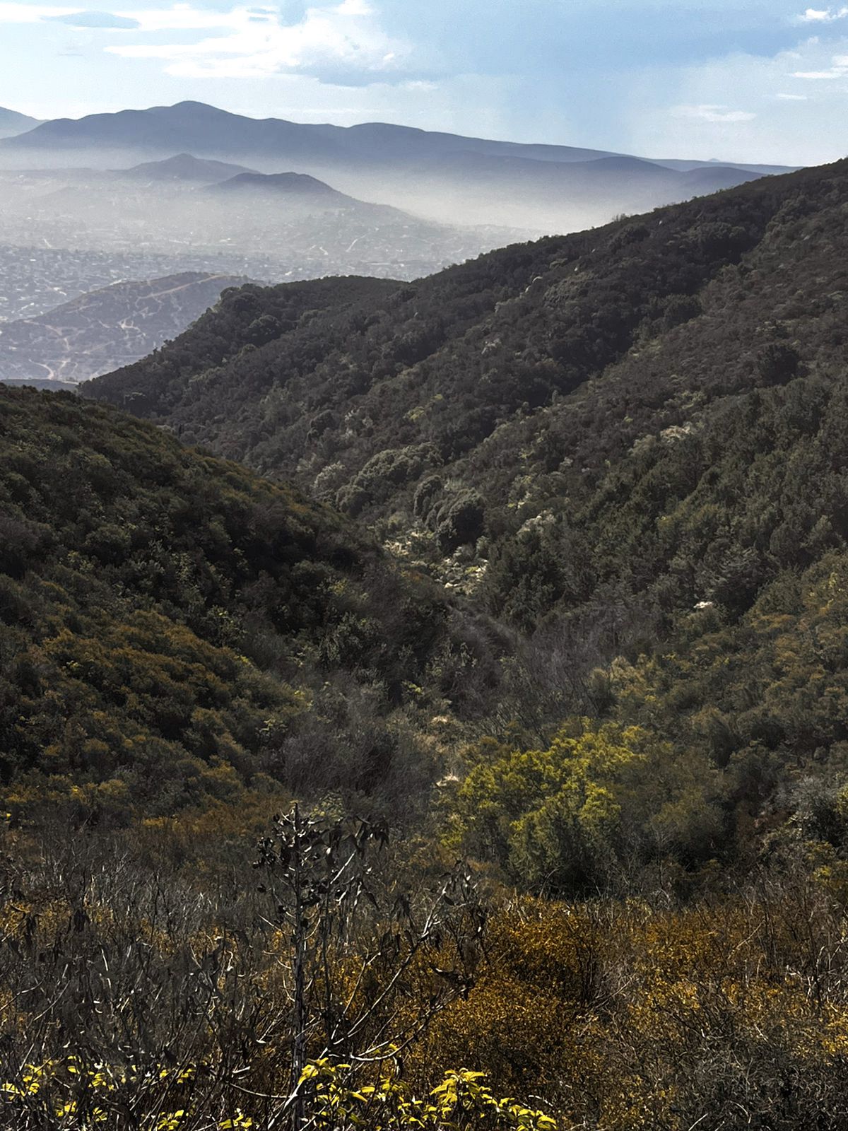 Cañada del desarrollo con bruma de la mañana