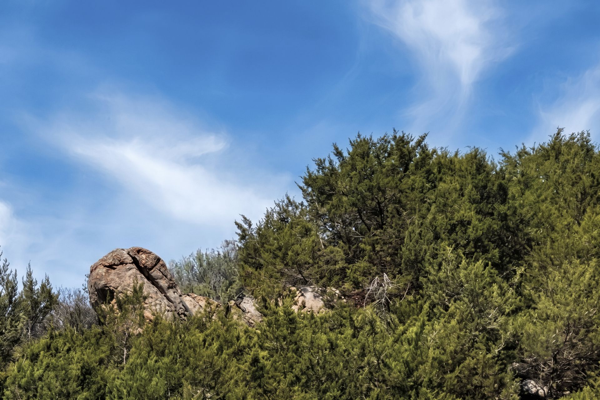 Afloramiento de roca firme entre el bosque